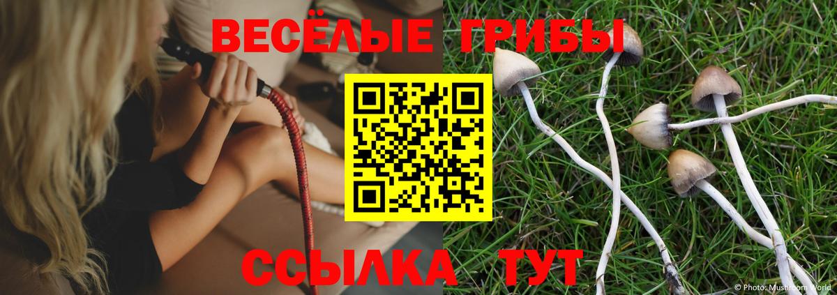 Псилоцибиновые грибы мицелий Лабинск